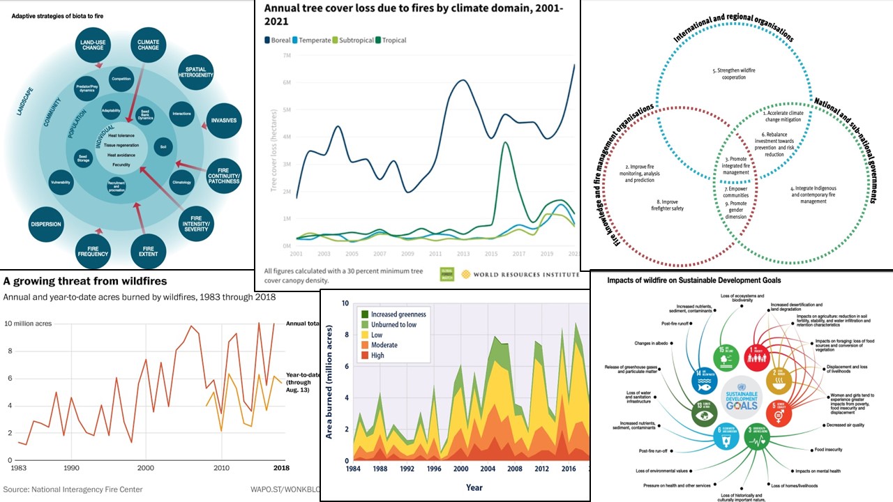 Graphs